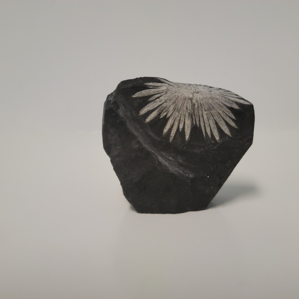 Black obsidian freeform